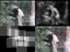 slide0939_small.jpg
