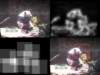 slide1125_small.jpg