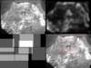 slide2606_small.jpg