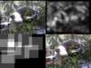 slide3540_small.jpg