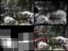 slide3555_small.jpg