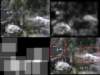 slide3559_small.jpg