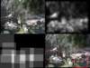 slide3608_small.jpg