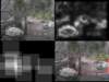 slide3711_small.jpg